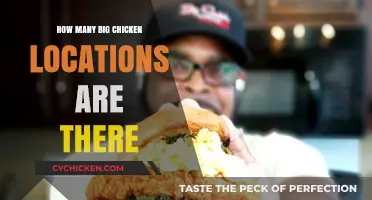 Exploring the Number of Big Chicken Restaurant Locations Nationwide