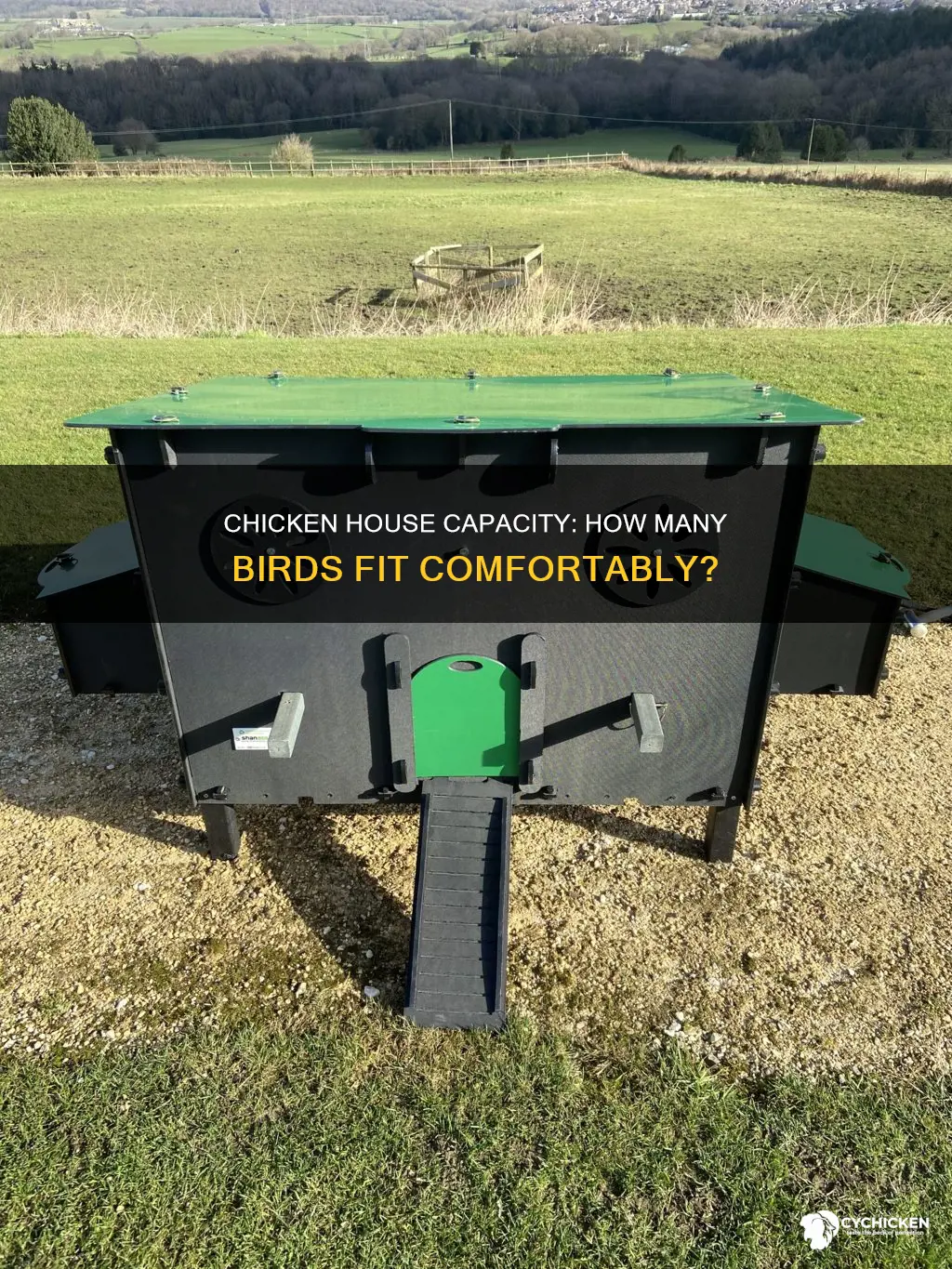how many birds in a 50 x 600 chicken house