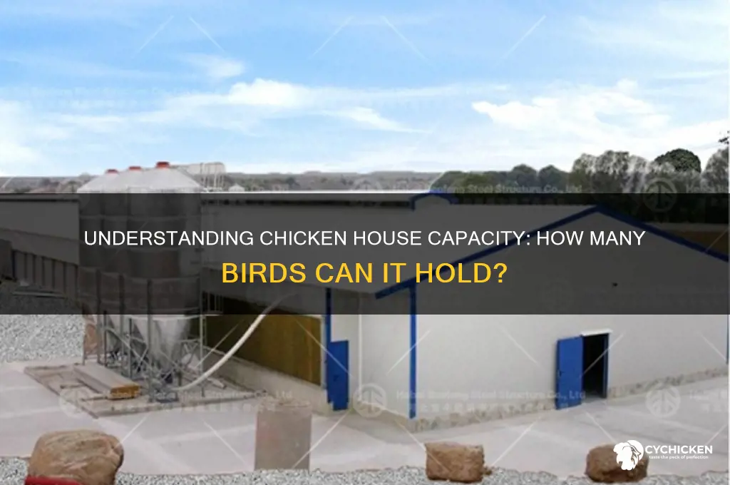 how many birds in a chicken house