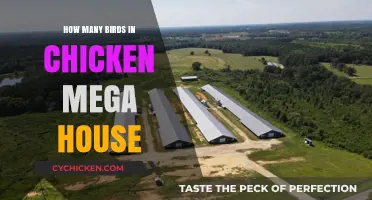 Exploring Chicken Mega House: Bird Population and Housing Insights