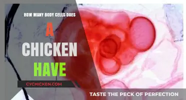 Exploring the Astonishing Number of Body Cells in a Chicken