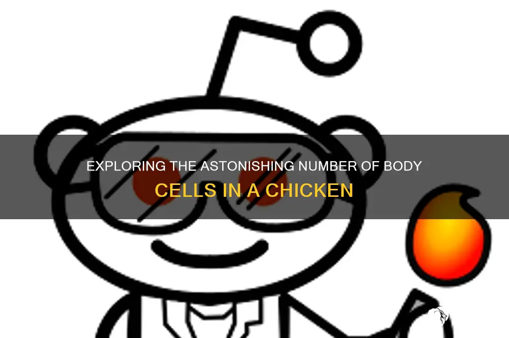 how many body cells does a chicken have