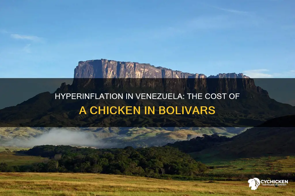 how many bolivars to buy a chicken
