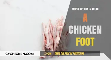 Unveiling the Surprising Number of Bones in a Chicken Foot