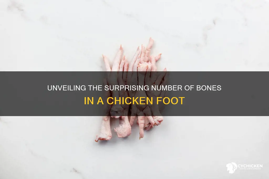how many bones are in a chicken foot