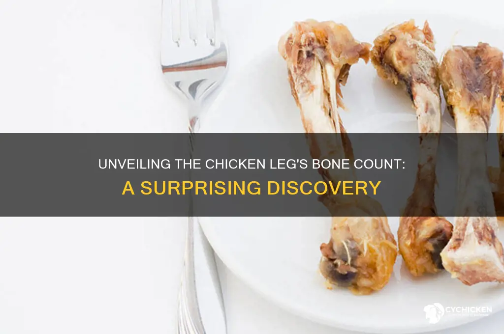 how many bones are in a chicken leg