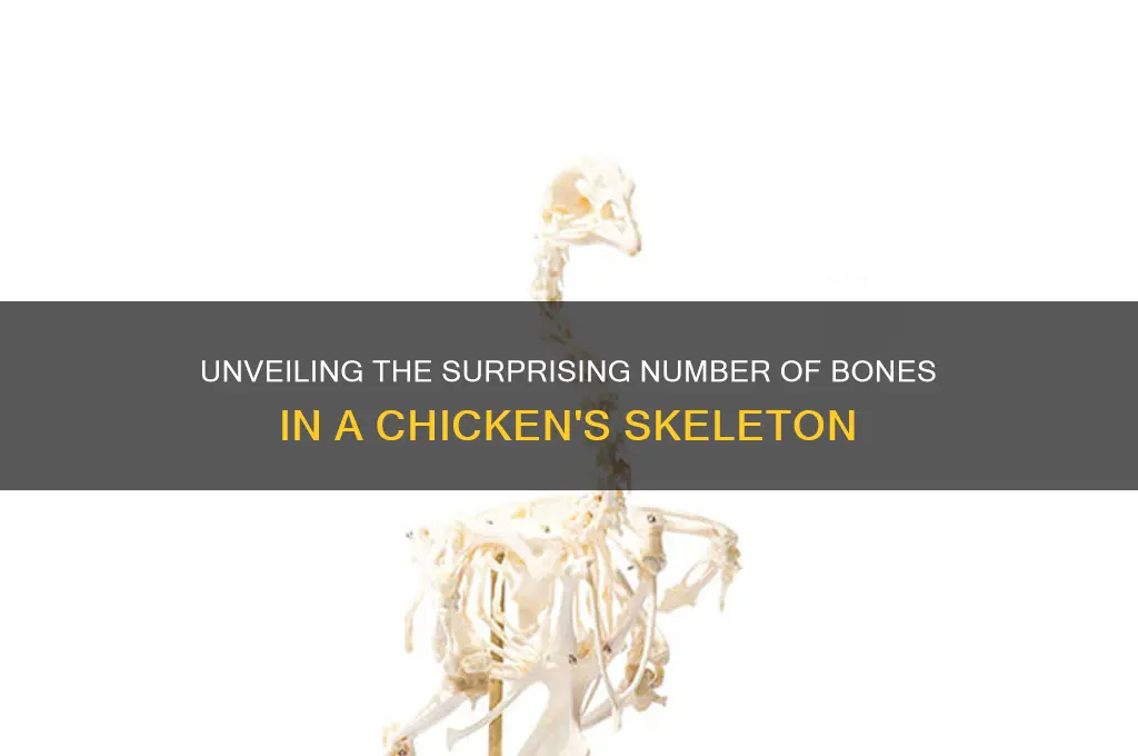 how many bones are in a chicken