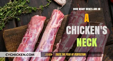 Chicken Neck Bones: How Many Are There?