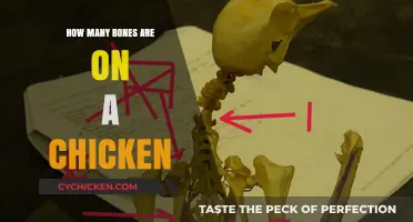 Unveiling the Surprising Number of Bones in a Chicken's Anatomy