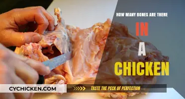 Unveiling the Skeletal Mystery: How Many Bones Does a Chicken Have?