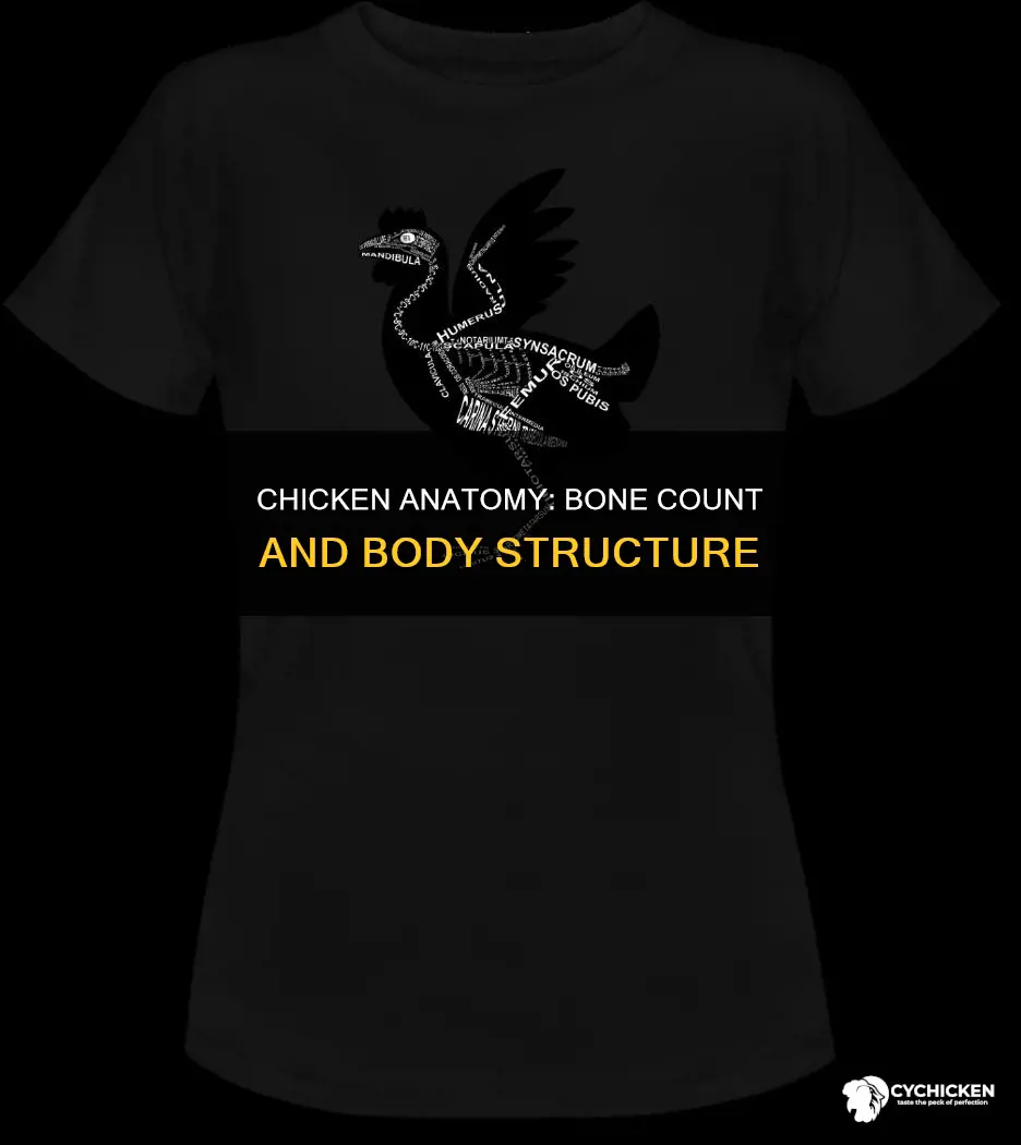 how many bones does a chicken have in its body