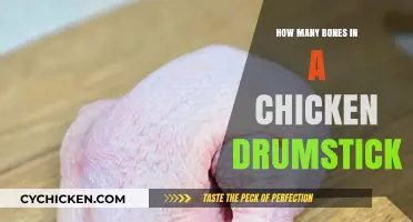 Unveiling the Truth: Bones in a Chicken Drumstick Revealed