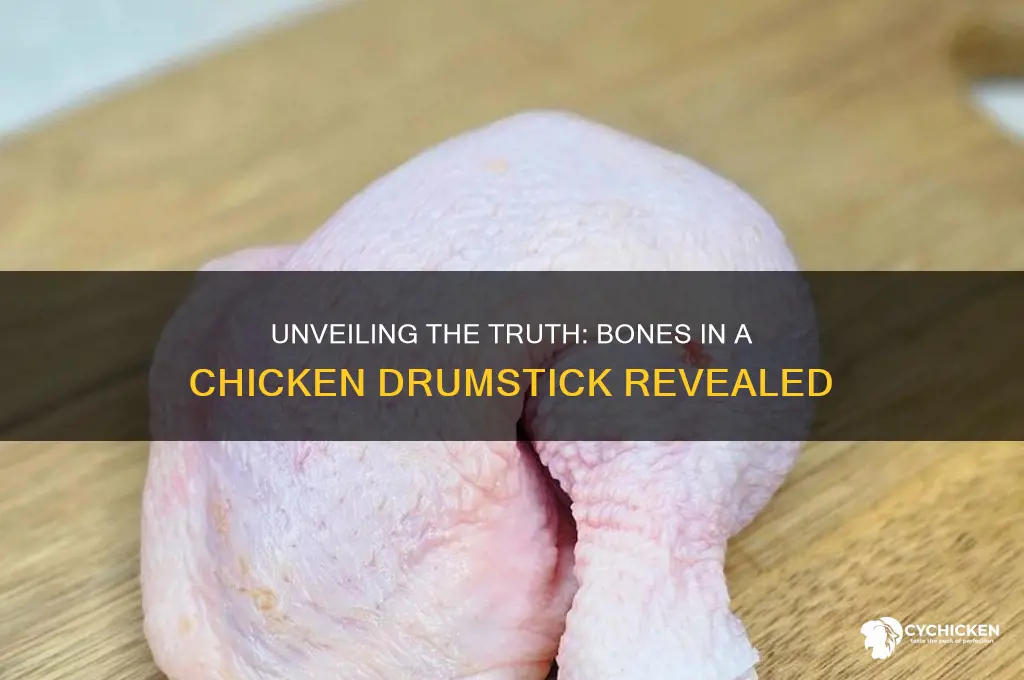 how many bones in a chicken drumstick