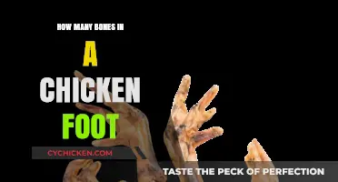 Unveiling the Surprising Number of Bones in a Chicken Foot