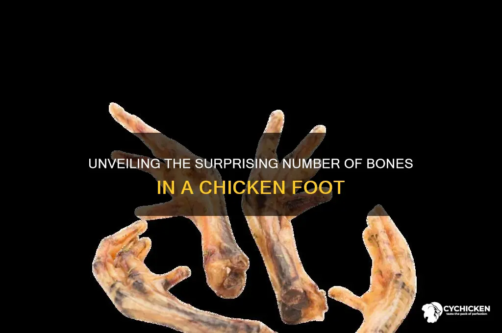 how many bones in a chicken foot