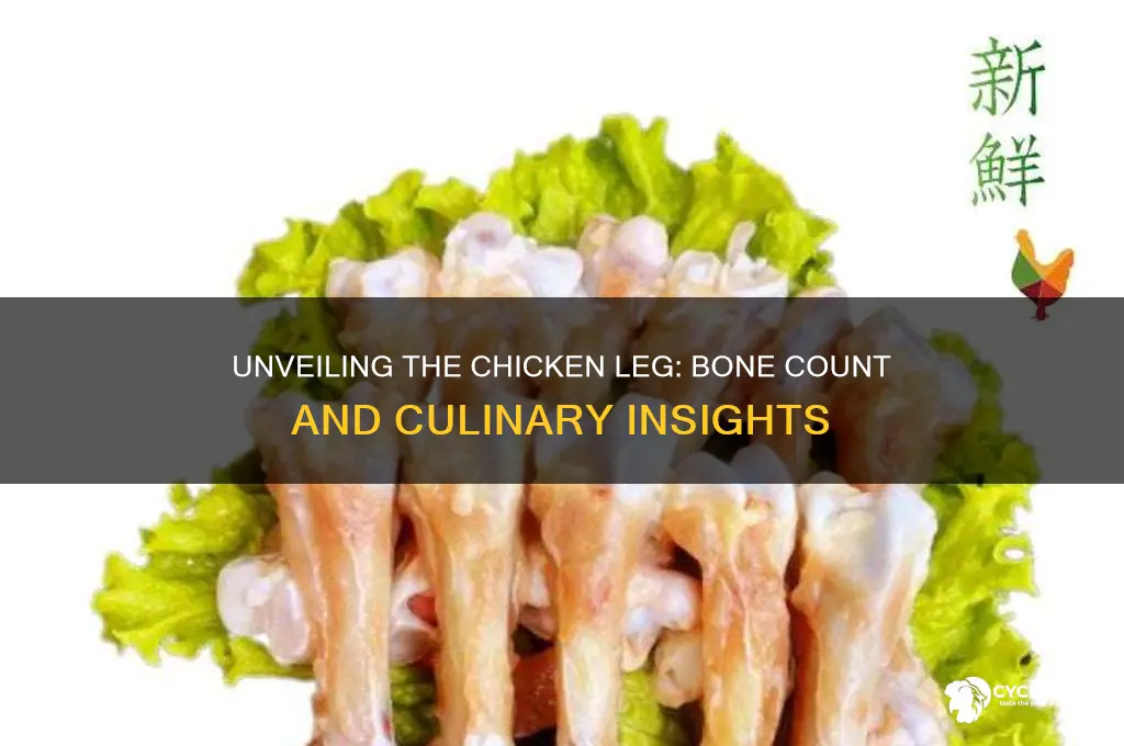 how many bones in a chicken leg