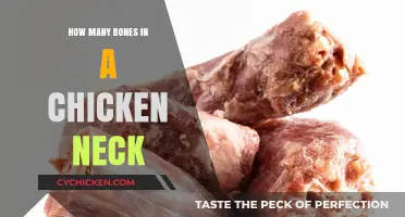 Unveiling the Surprising Number of Bones in a Chicken's Neck
