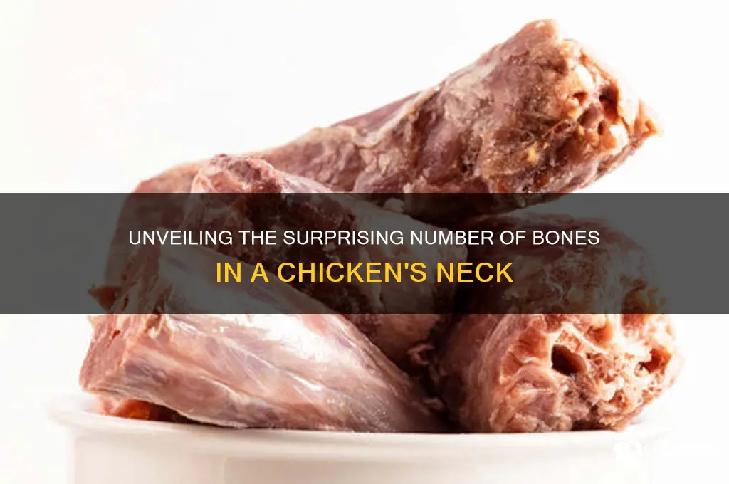 how many bones in a chicken neck