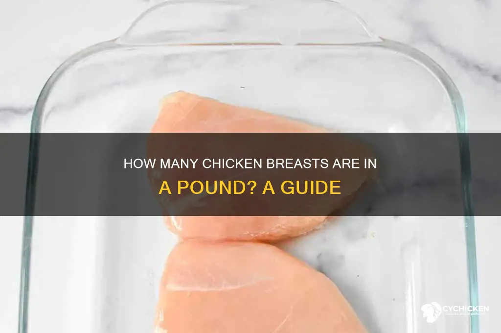 how many brasts is 1 lb of chicken