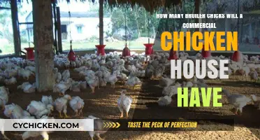 Broiler Chickens: Commercial House Capacity and Limits
