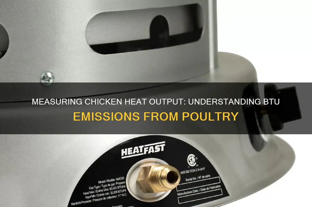 how many btu does a chicken give off