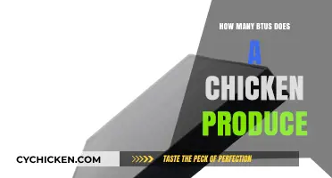 Measuring Chicken Heat Output: Understanding BTUs Produced by Poultry