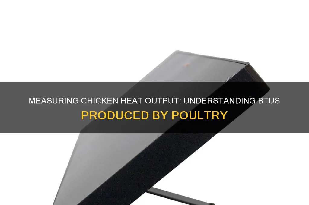 how many btus does a chicken produce