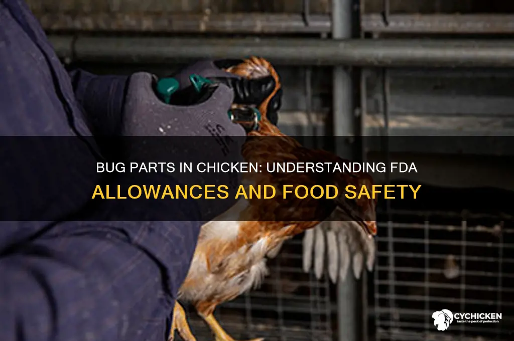 how many bug parts are allowed in chicken