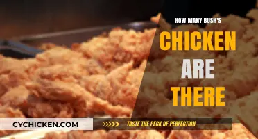 Exploring the Number of Bush's Chicken Locations Nationwide