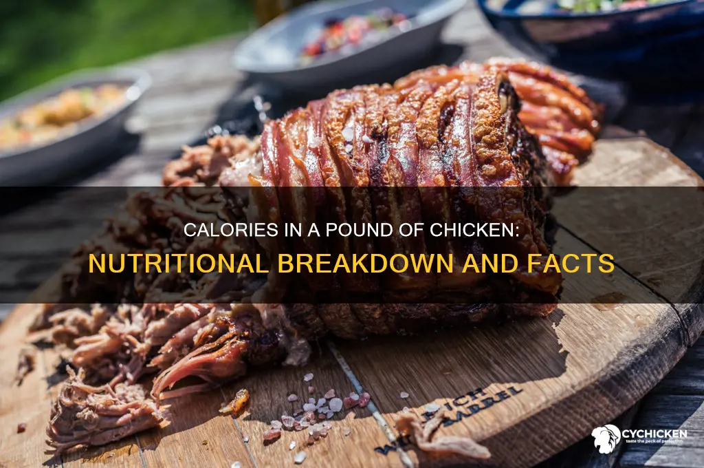 how many callories in a pound of chicken