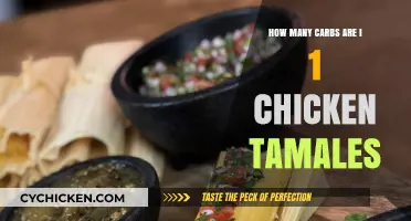 Carb Count in Chicken Tamales: Unwrapping Nutritional Facts
