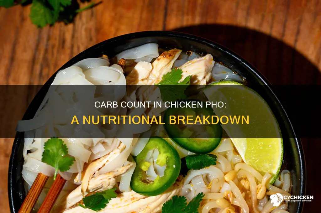how many carbs are in chicken pho