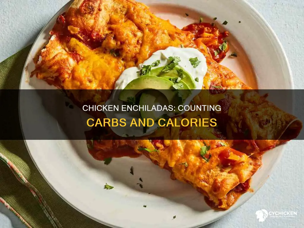 how many carbs are there in 3 chicken enchiladas