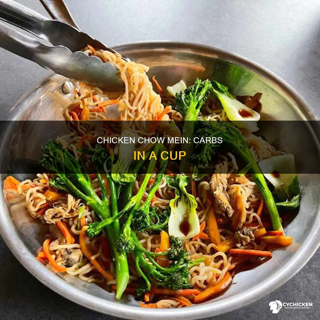 how many carbs in 1 cup chicken chow mein