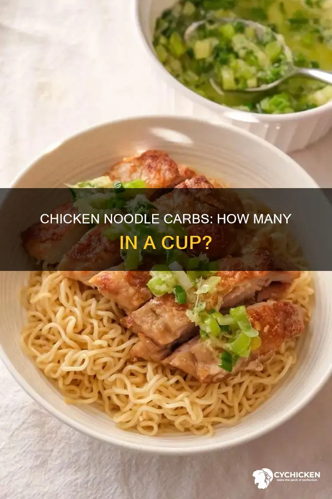how many carbs in 1 cup of noodles chicken flavor