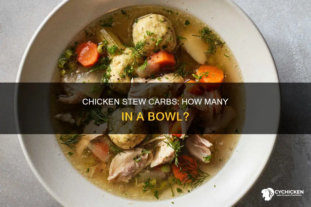how many carbs in a bowl of chicken stew