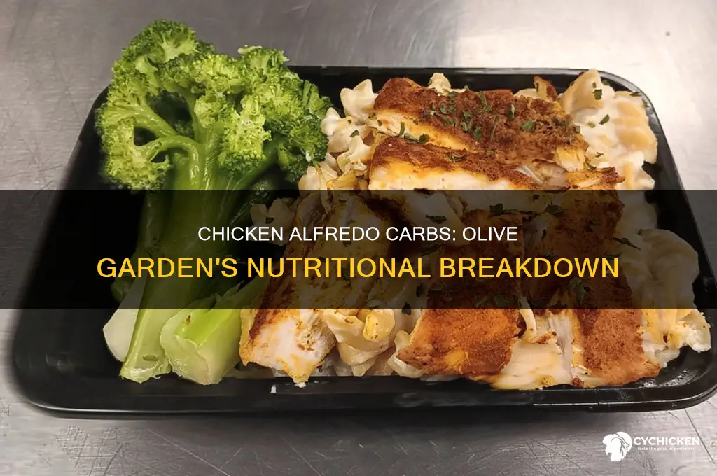 how many carbs in chicken alfredo olive garden