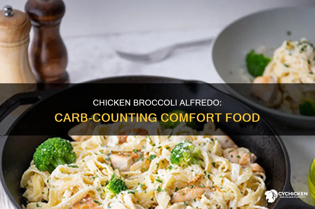 how many carbs in chicken and broccoli alfredo
