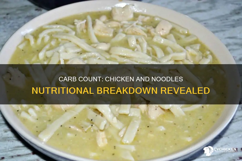 how many carbs in chicken and noodles