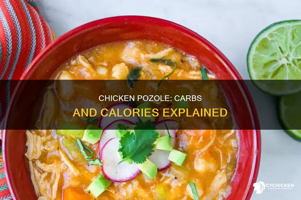 how many carbs in chicken pozole with hominy