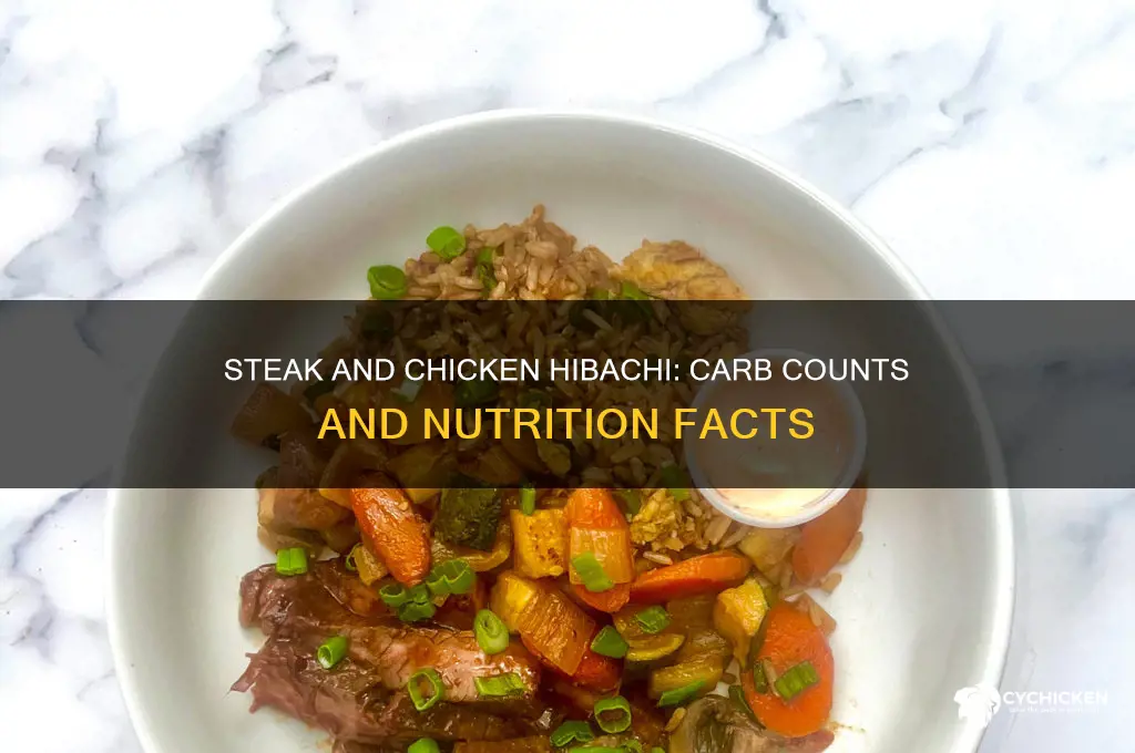 how many carbs in hibachi steak and chicken