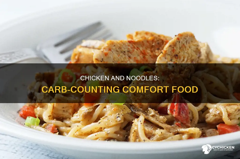 how many carbs in homemade chicken and noodles