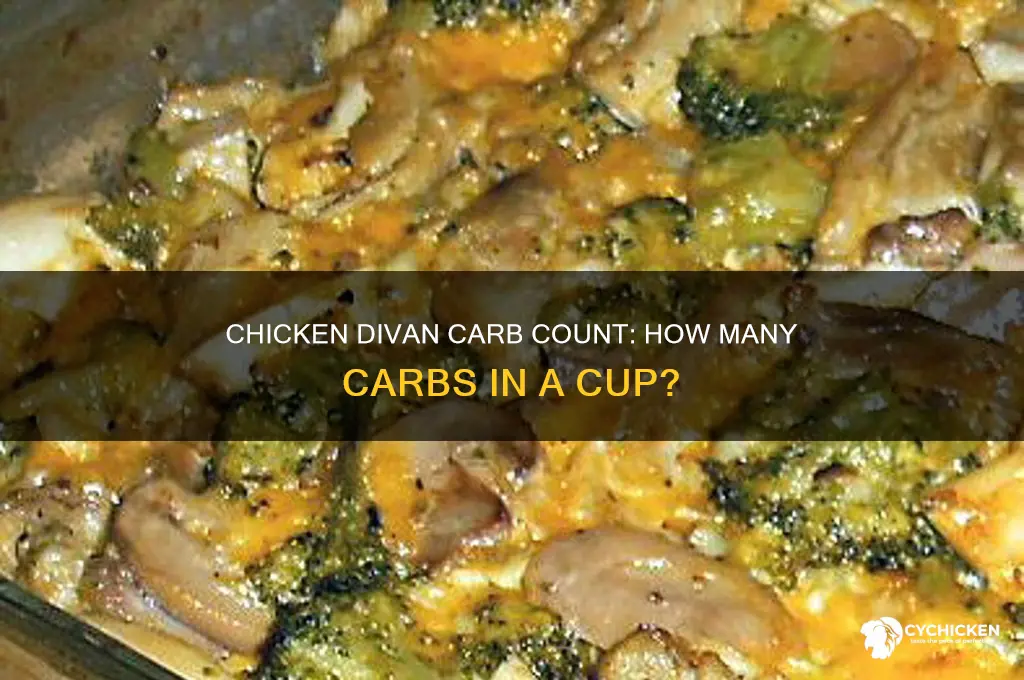 how many carbs in one cup chicken divan