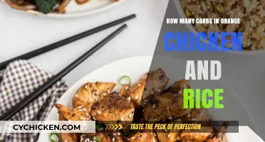 Carbs in Orange Chicken: Rice a No-No?