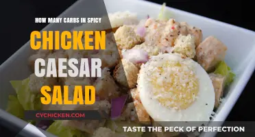 Savor the Flavor: Spicy Chicken Caesar Salad Carb Count