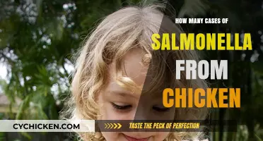 Understanding Salmonella Outbreaks Linked to Chicken Consumption: Key Statistics