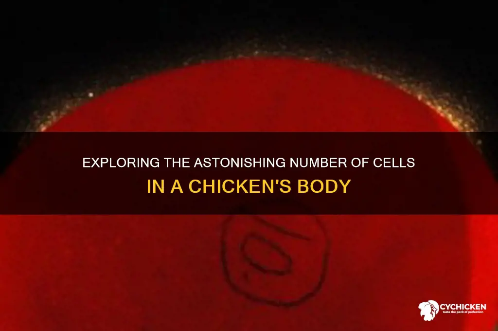 how many cells are in a chicken