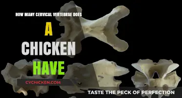 Chicken Spine Secrets: Cervical Vertebrae Count