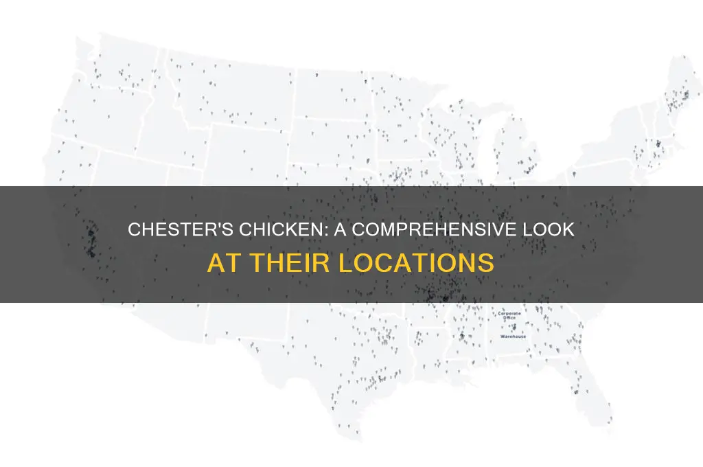 how many chester