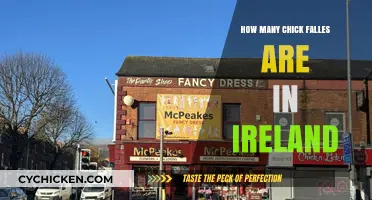 Exploring Ireland's Chick Falls: A Comprehensive Count and Guide